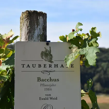 Tauberzell 阿德尔斯霍芬