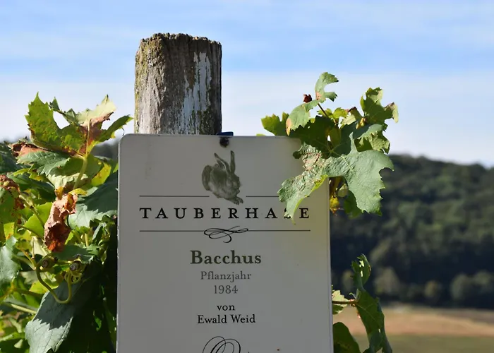 Tauberzell Adelshofen (Ansbach)